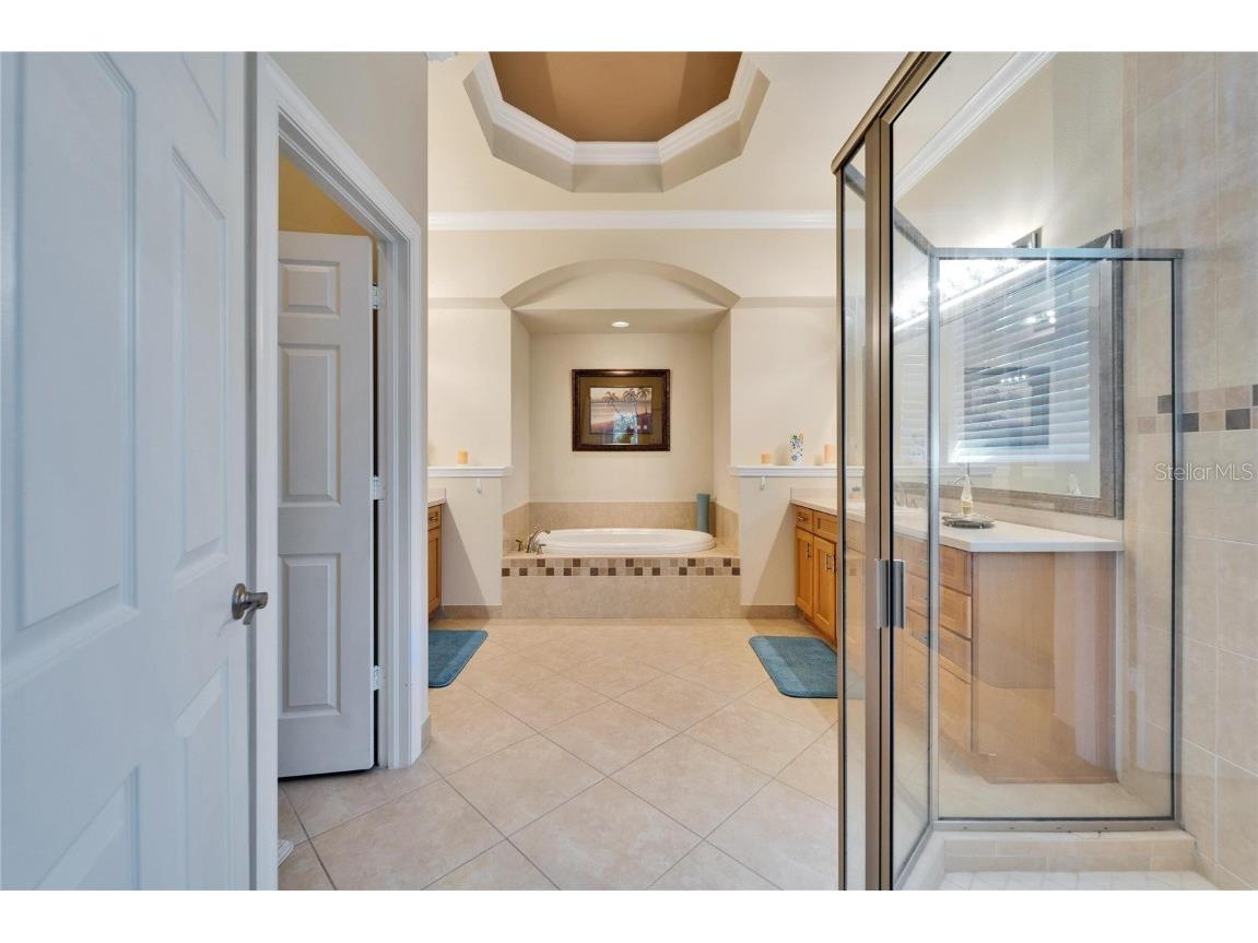 16135 Cape Coral Drive Wimauma FL 33598 TB8348957 image35