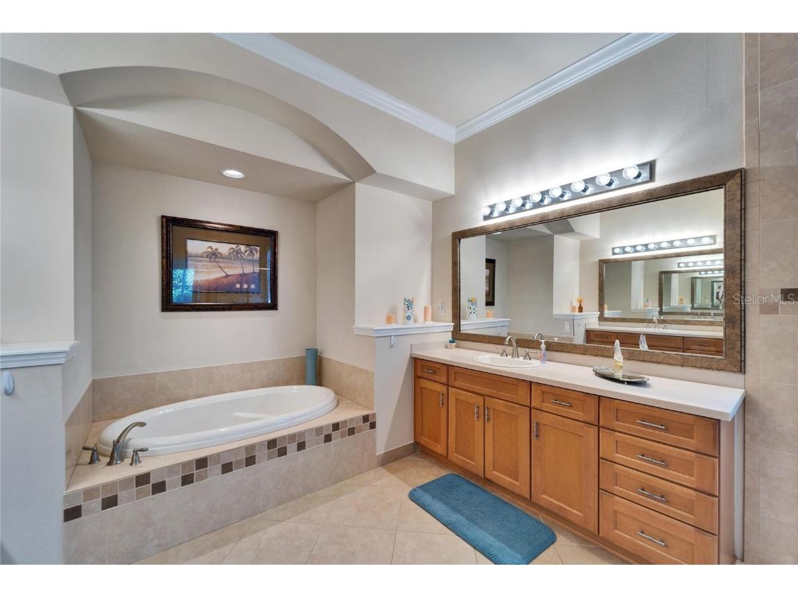 16135 Cape Coral Drive Wimauma FL 33598 TB8348957 image37