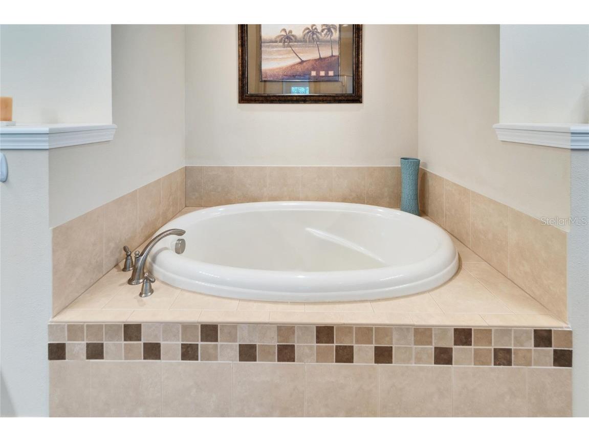 16135 Cape Coral Drive Wimauma FL 33598 TB8348957 image38