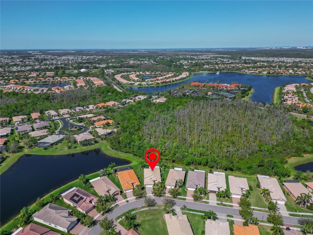 16135 Cape Coral Drive Wimauma FL 33598 TB8348957 image5