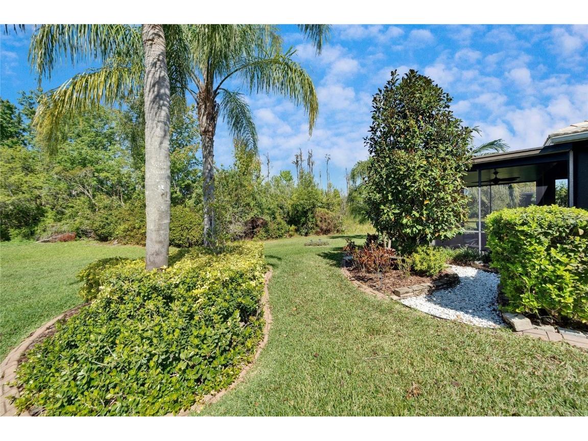 16135 Cape Coral Drive Wimauma FL 33598 TB8348957 image62