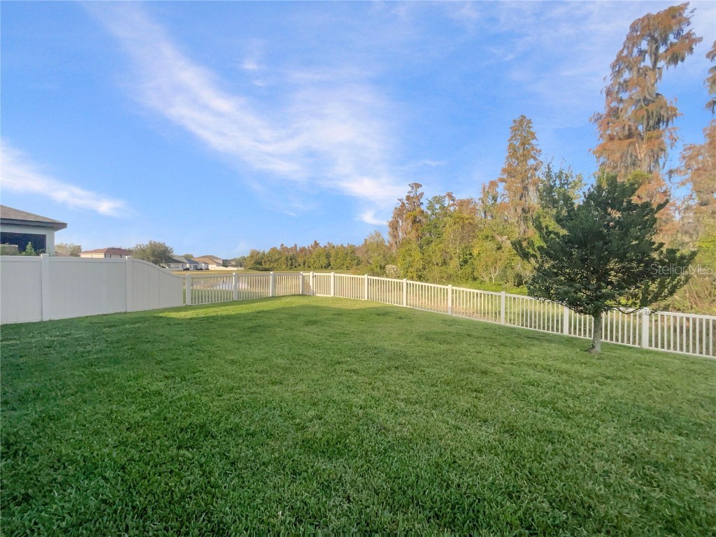 16136 Monterey Greens Circle Tampa FL 33647 O6364096 image29