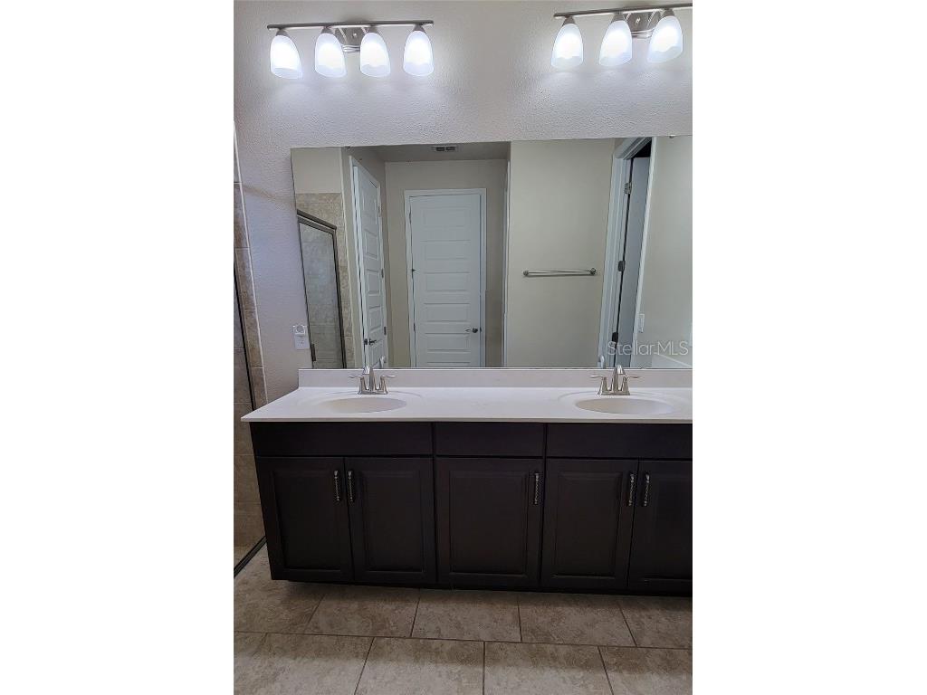 16136 Wind View Lane Winter Garden FL 34787 O6372050 image14