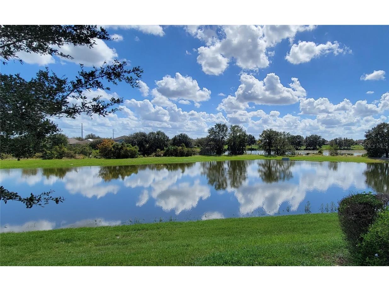 16136 Wind View Lane Winter Garden FL 34787 O6372050 image2