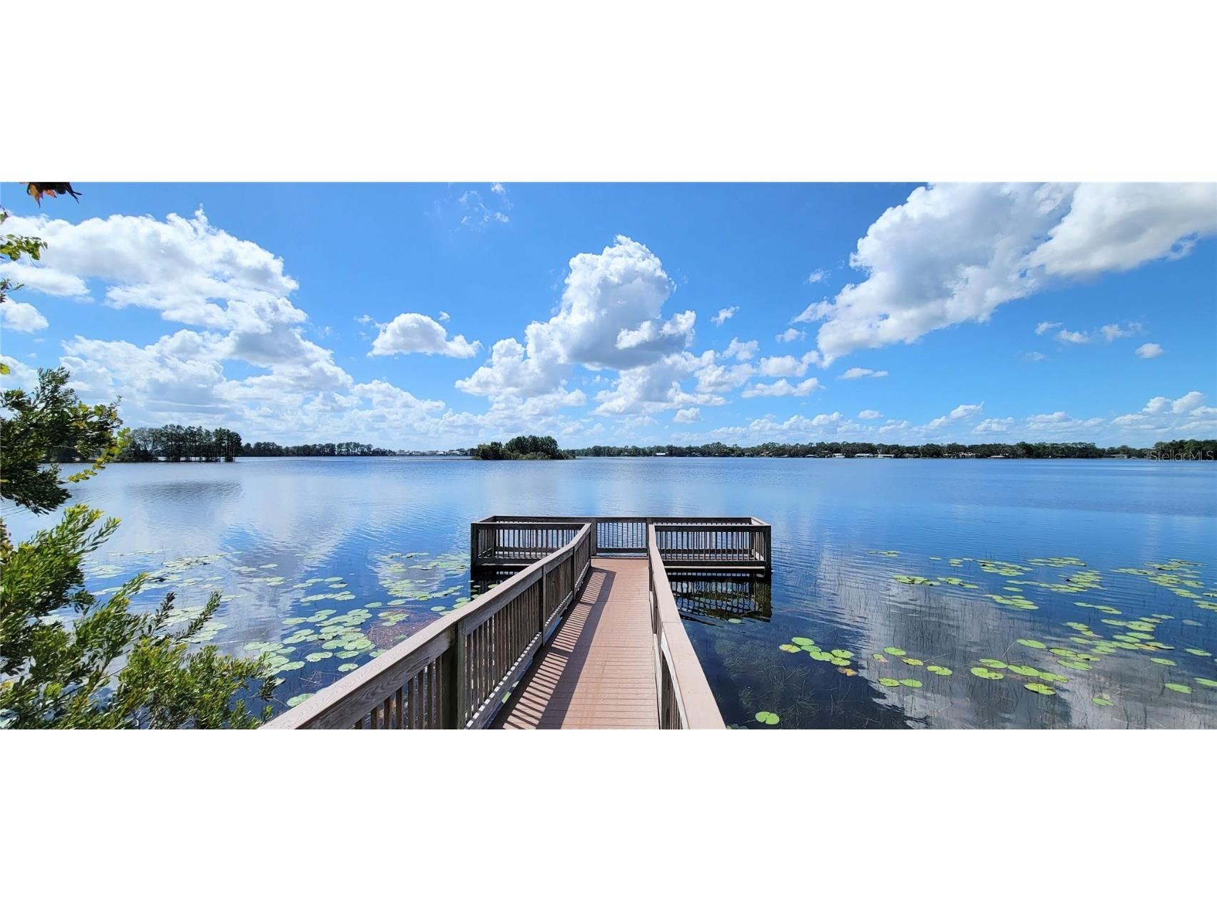 16136 Wind View Lane Winter Garden FL 34787 O6372050 image36