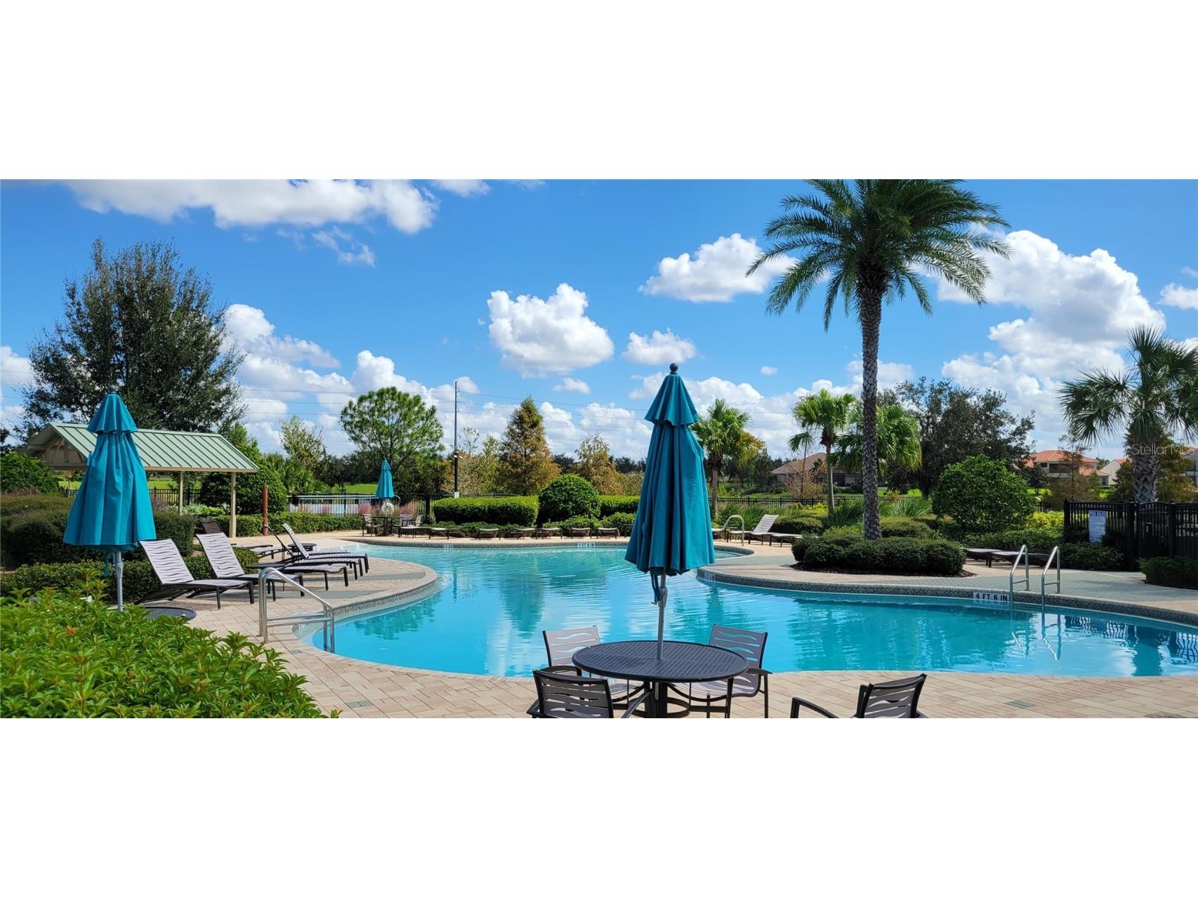 16136 Wind View Lane Winter Garden FL 34787 O6372050 image49