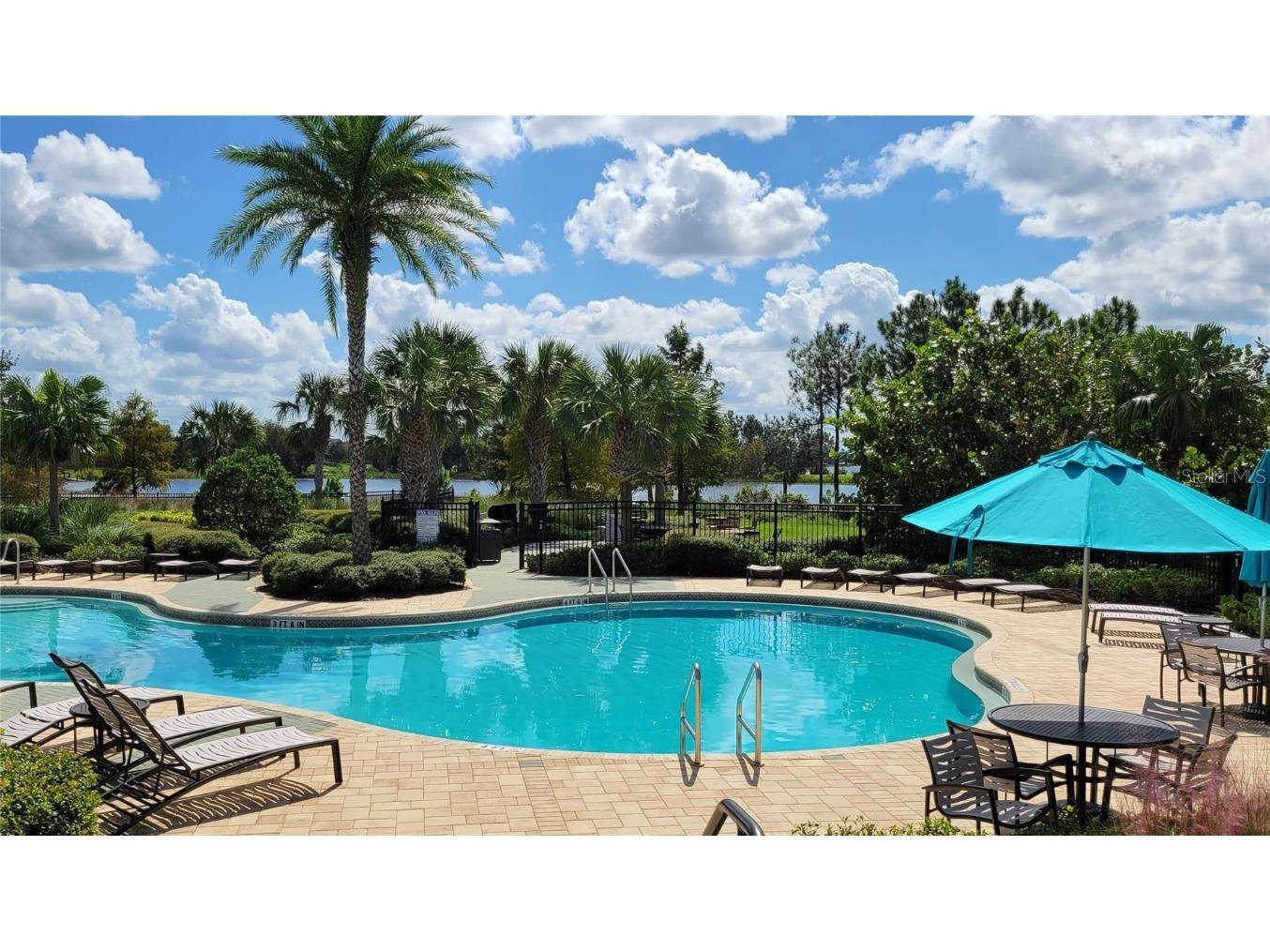 16136 Wind View Lane Winter Garden FL 34787 O6372050 image50