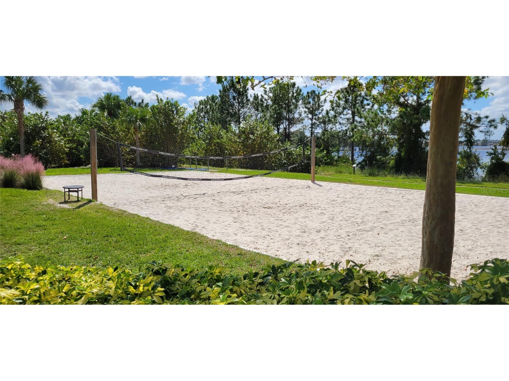 16136 Wind View Lane Winter Garden FL 34787 O6372050 image53