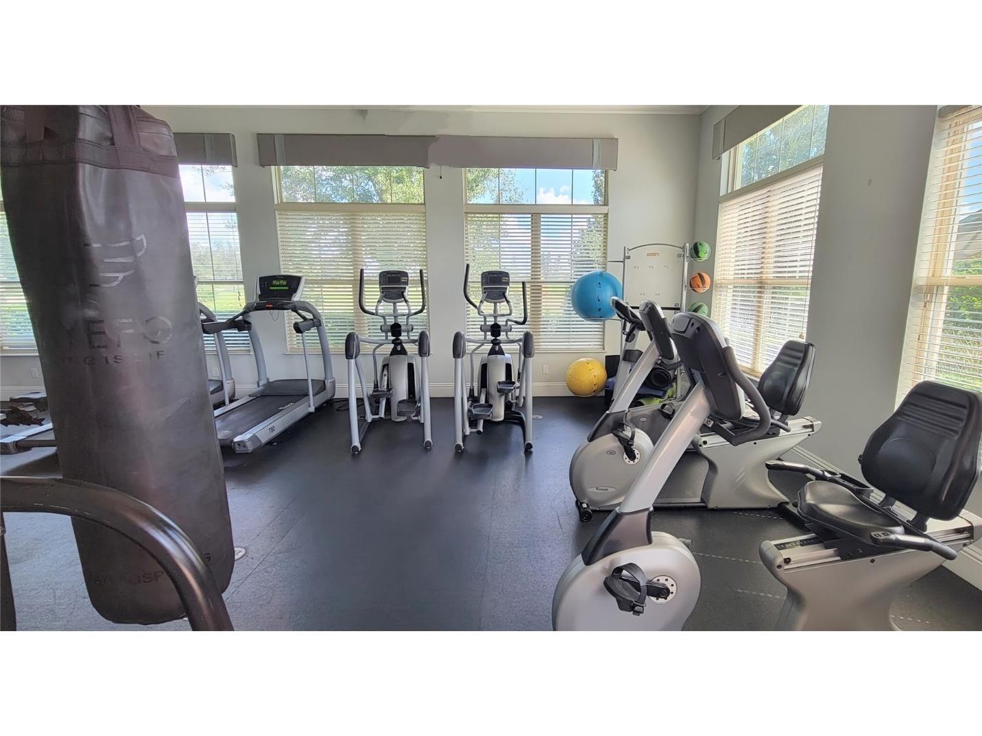 16136 Wind View Lane Winter Garden FL 34787 O6372050 image60