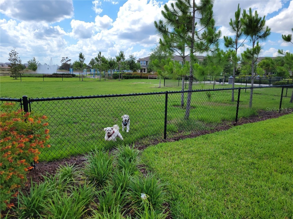 16136 Wind View Lane Winter Garden FL 34787 O6372050 image68