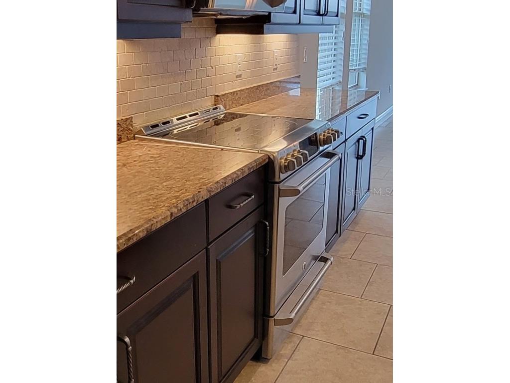 16136 Wind View Lane Winter Garden FL 34787 O6372050 image7