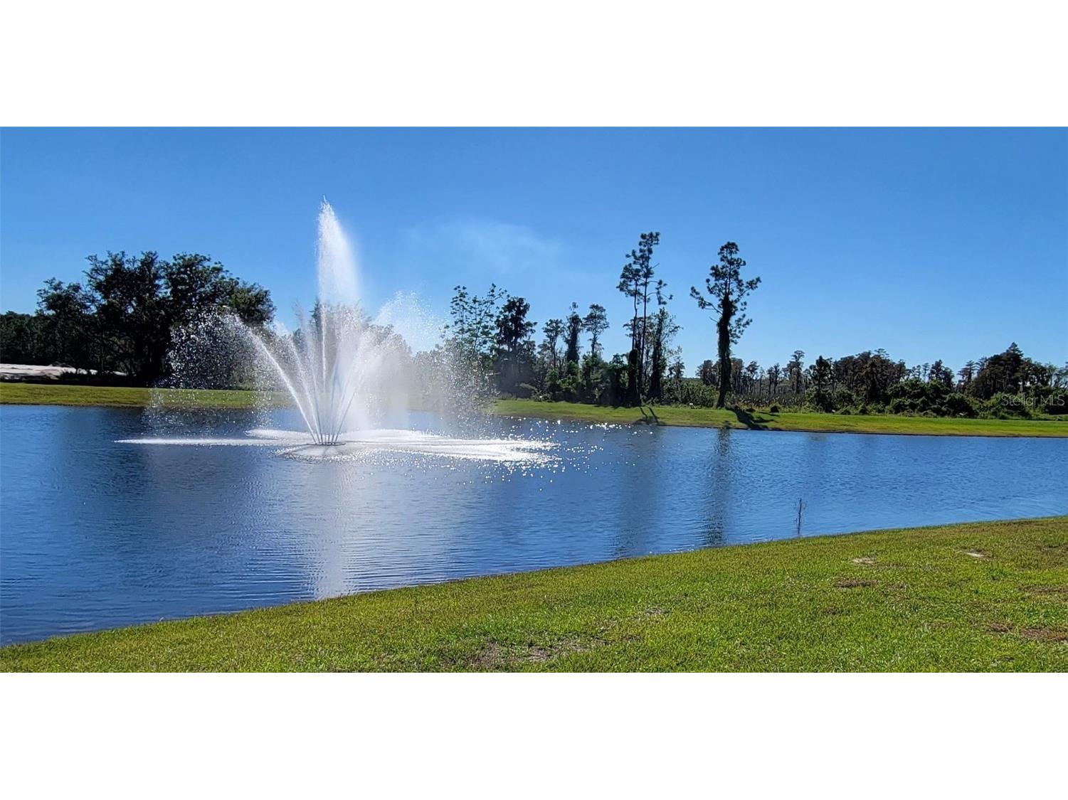 16136 Wind View Lane Winter Garden FL 34787 O6372050 image71