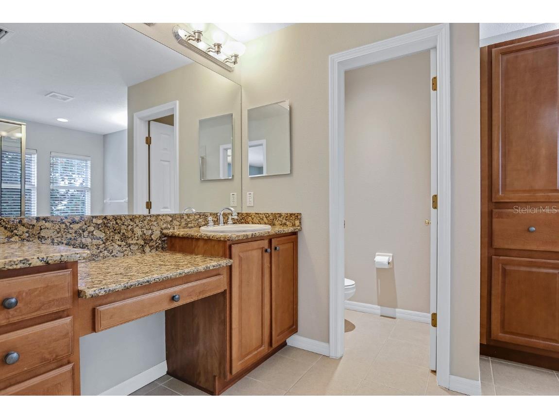 16137 Churchview Drive Lithia FL 33547 TB8391353 image14