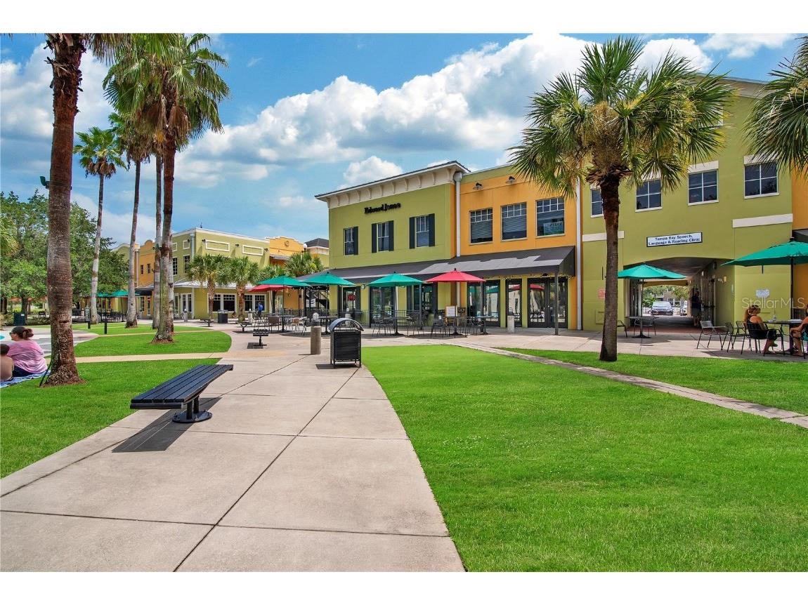 16137 Churchview Drive Lithia FL 33547 TB8391353 image24