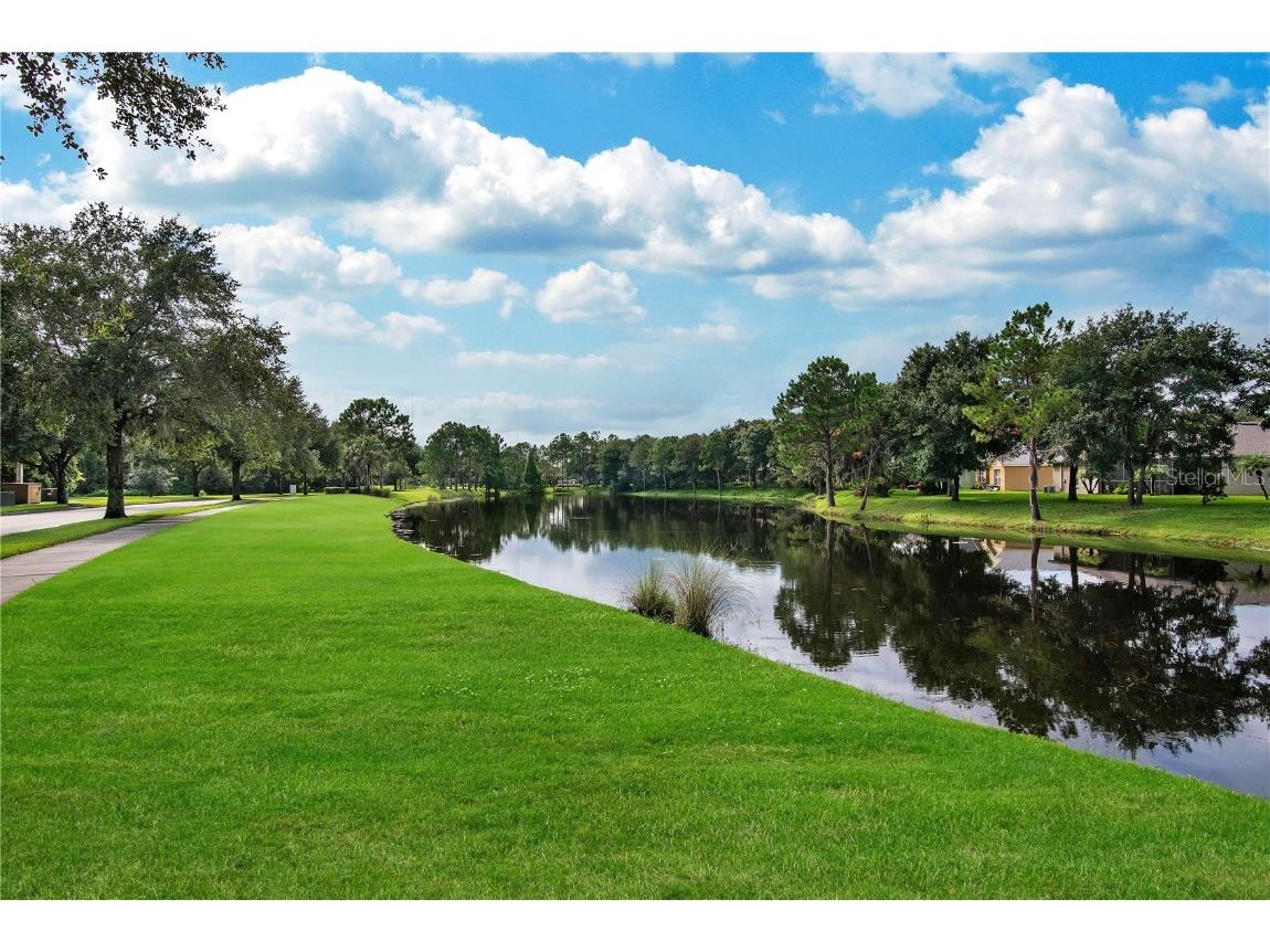 16137 Churchview Drive Lithia FL 33547 TB8391353 image28