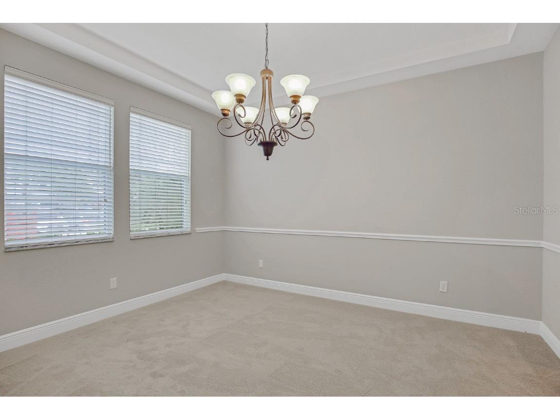 16137 Churchview Drive Lithia FL 33547 TB8391353 image5