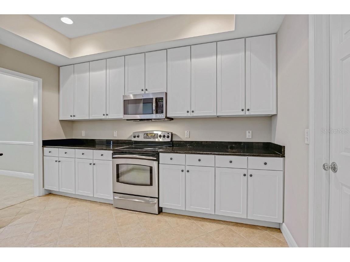 16137 Churchview Drive Lithia FL 33547 TB8391353 image8