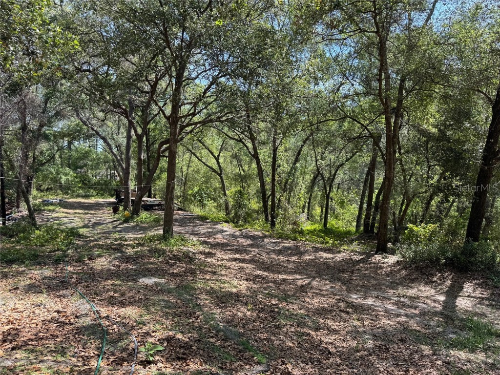 16137 SE 34th Place Ocklawaha FL 32179 OM702143 image3