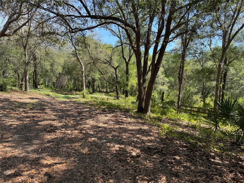 16137 SE 34th Place Ocklawaha FL 32179 OM702143 image5