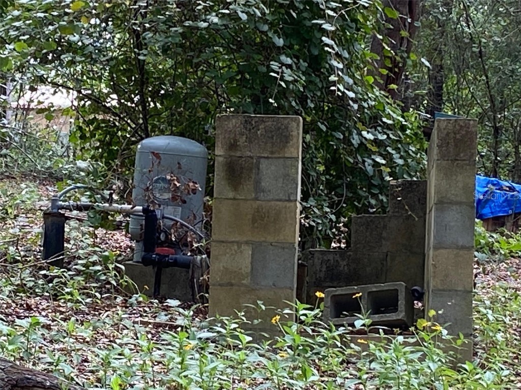 16137 SE 34th Place Ocklawaha FL 32179 OM702143 image6