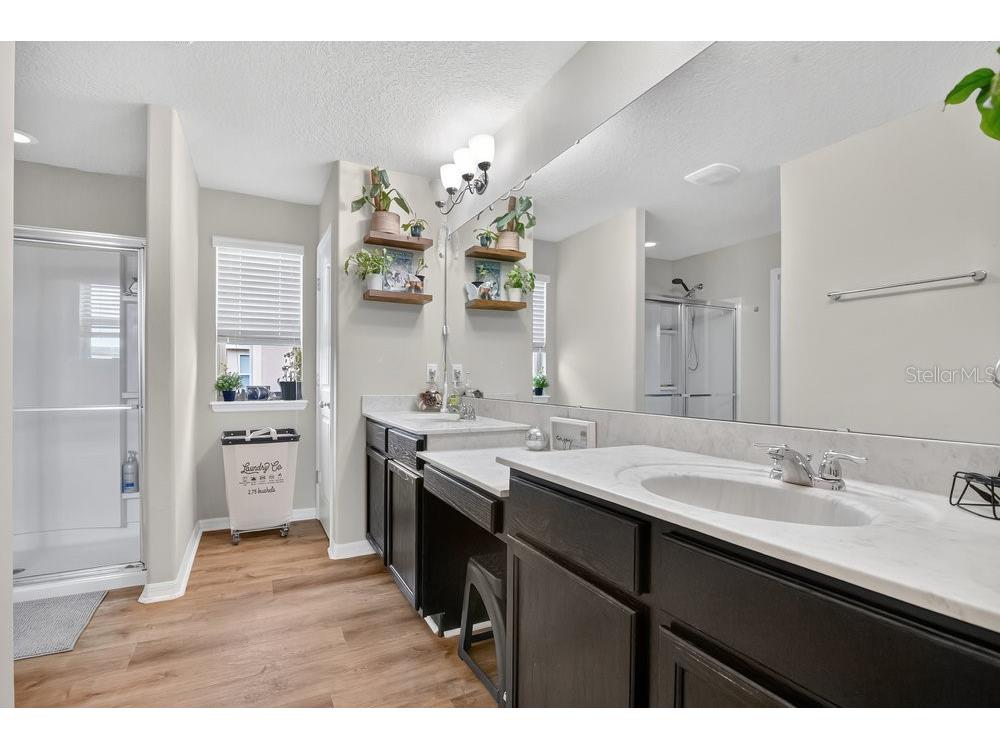 16137 Wind View Lane Winter Garden FL 34787 O6335769 image10