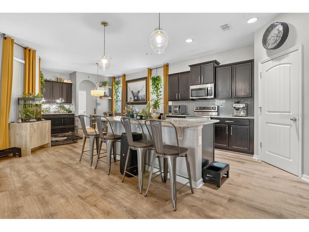 16137 Wind View Lane Winter Garden FL 34787 O6335769 image6