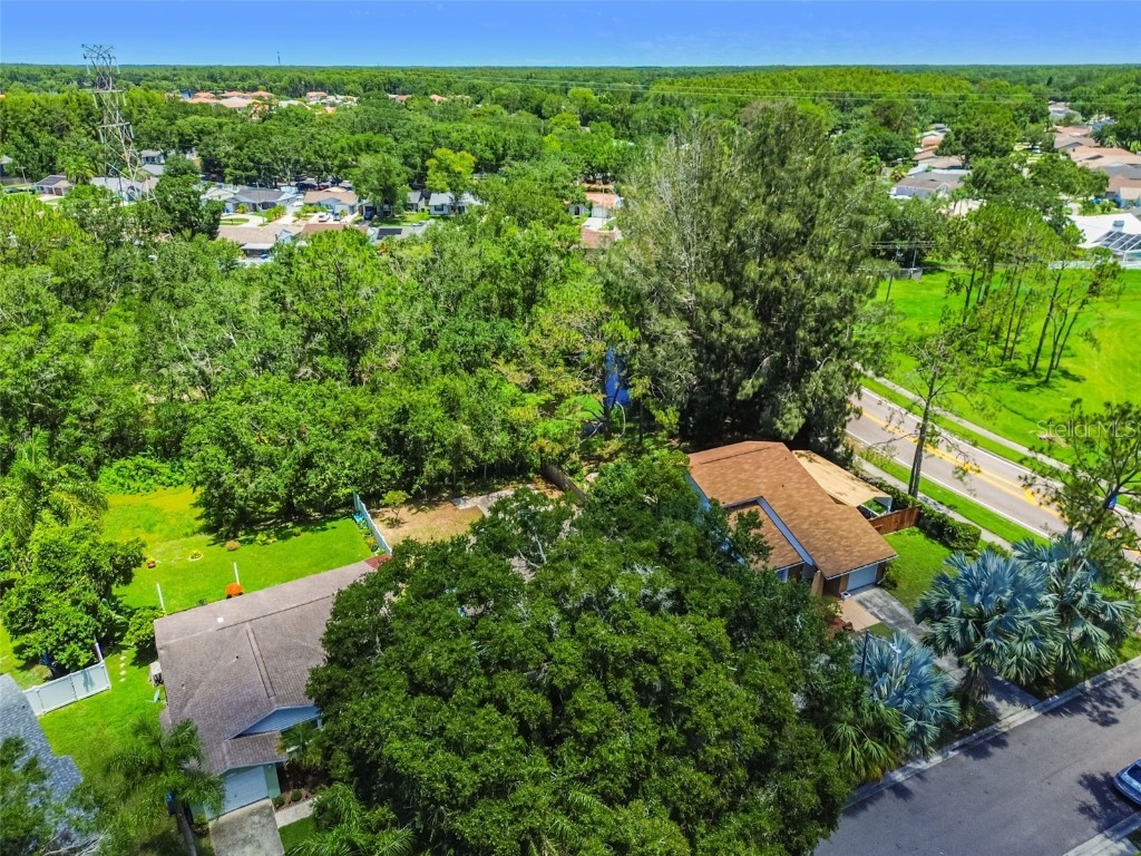 16138 Manorwood Circle Tampa FL 33624 TB8399177 image31