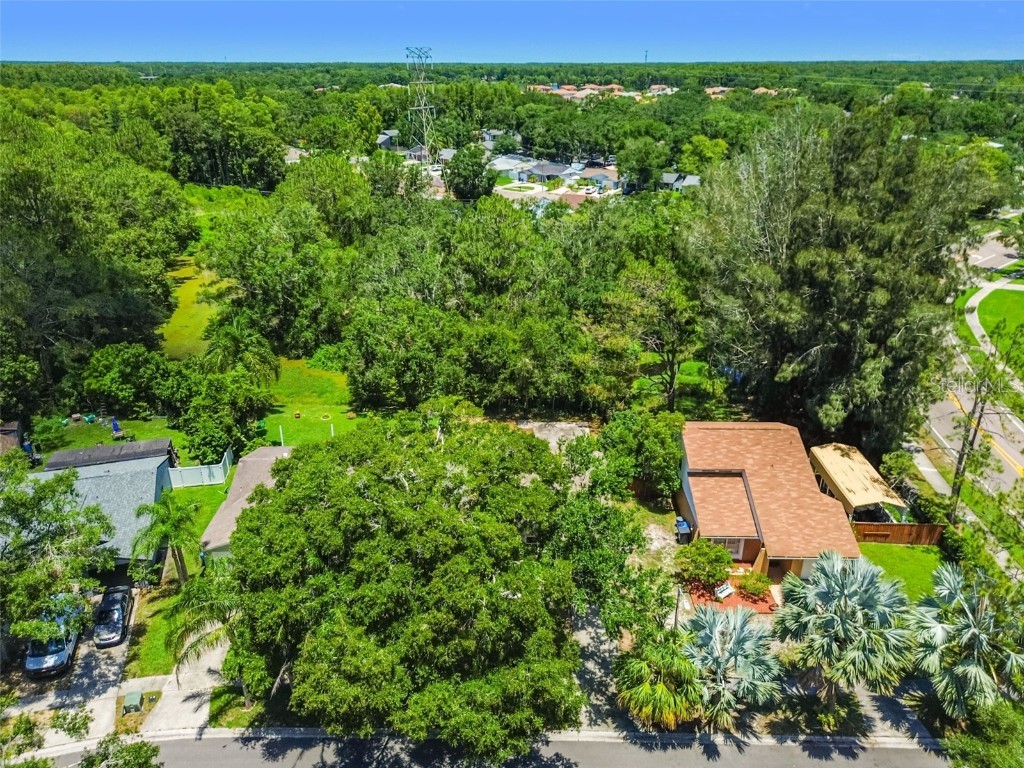 16138 Manorwood Circle Tampa FL 33624 TB8399177 image32