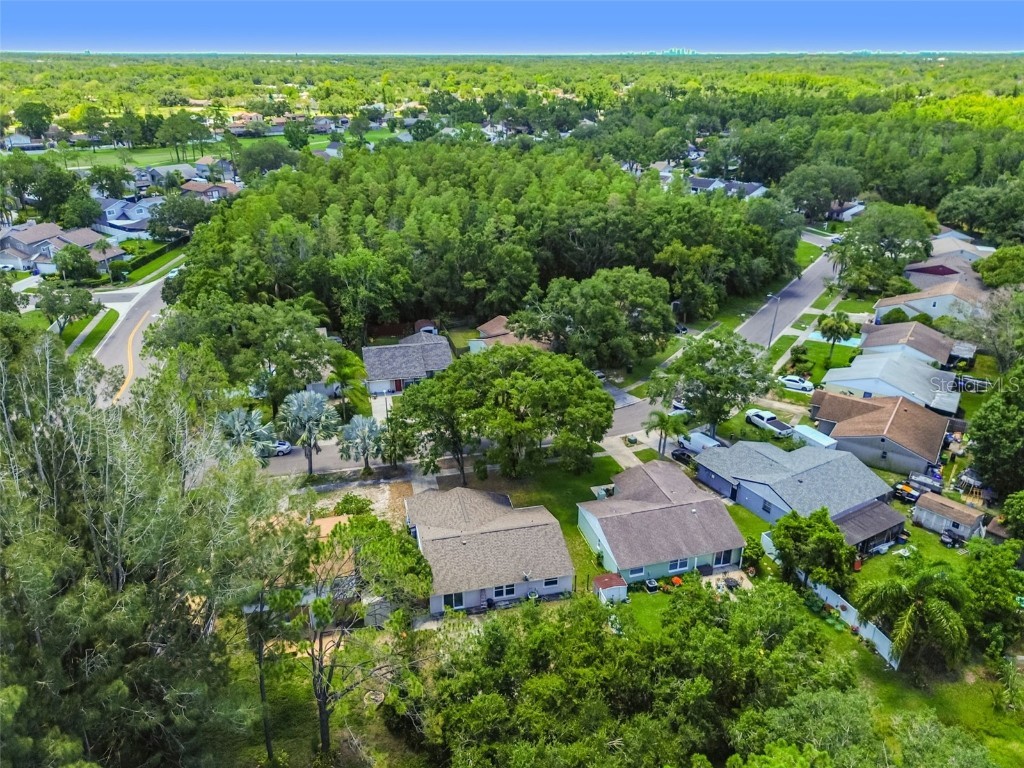 16138 Manorwood Circle Tampa FL 33624 TB8399177 image33