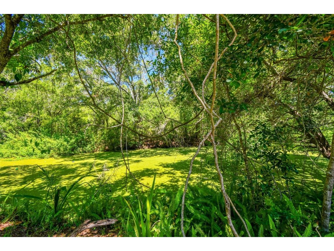 16138 Manorwood Circle Tampa FL 33624 TB8399177 image35