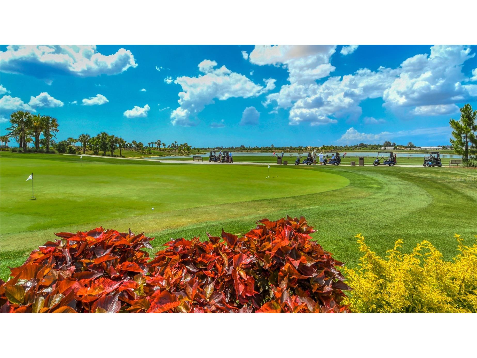 16139 Isola Place Bradenton FL 34211 A4682666 image66