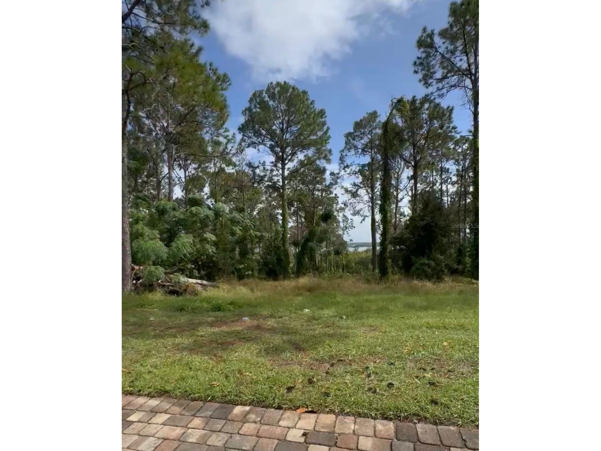 16139 Pendio Drive Montverde FL 34756 J997441 image1