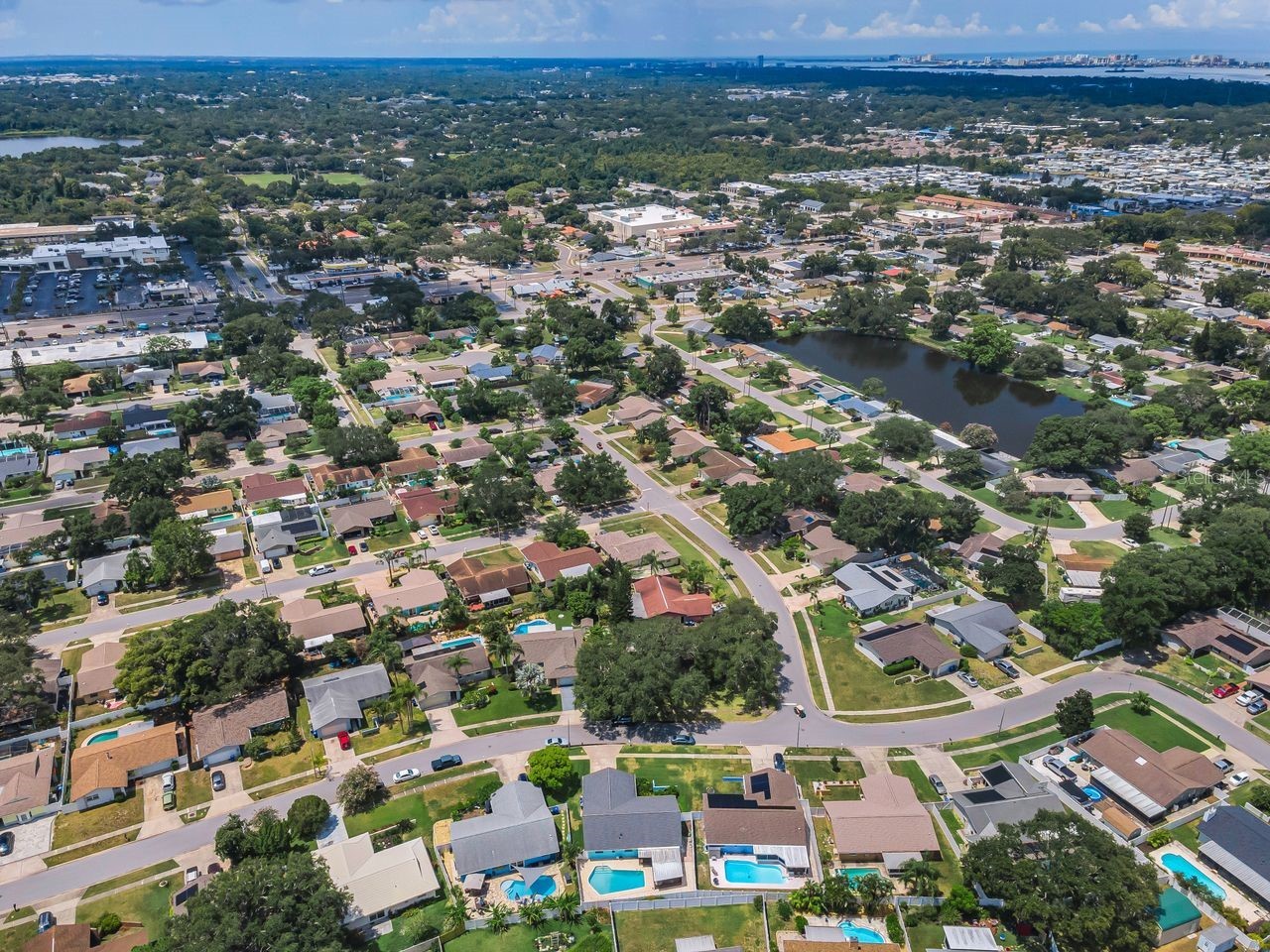 1614 Dale Circle N Dunedin FL 34698 TB8526259 image32