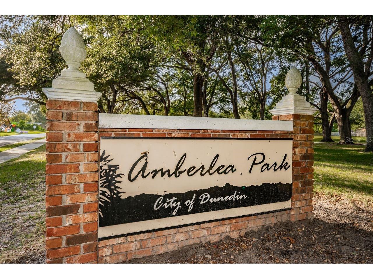 1614 Dale Circle N Dunedin FL 34698 TB8526259 image39