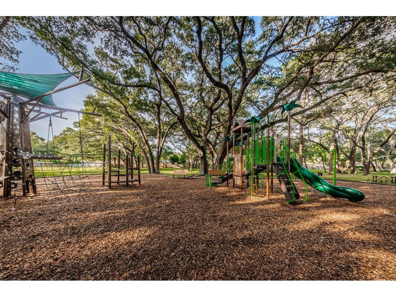1614 Dale Circle N Dunedin FL 34698 TB8526259 image41