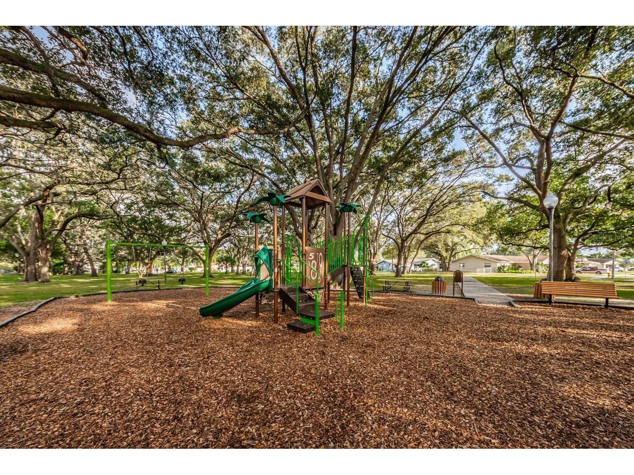 1614 Dale Circle N Dunedin FL 34698 TB8526259 image43