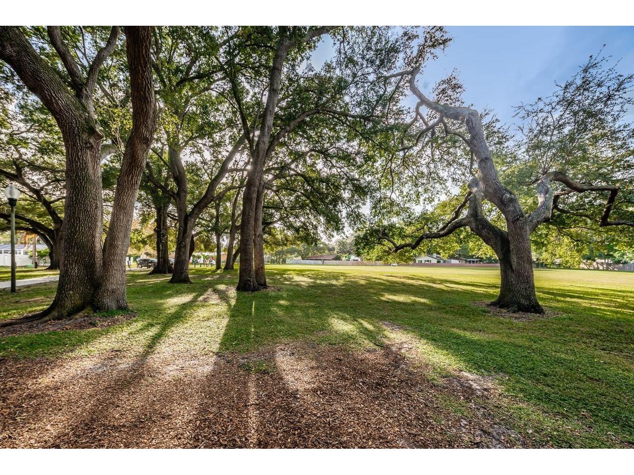 1614 Dale Circle N Dunedin FL 34698 TB8526259 image45