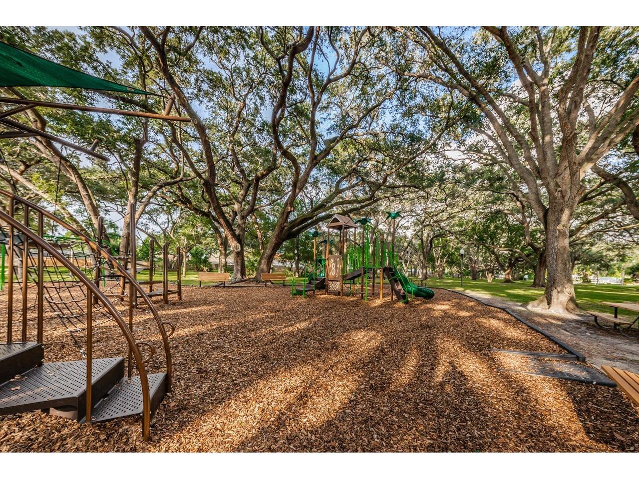 1614 Dale Circle N Dunedin FL 34698 TB8526259 image47