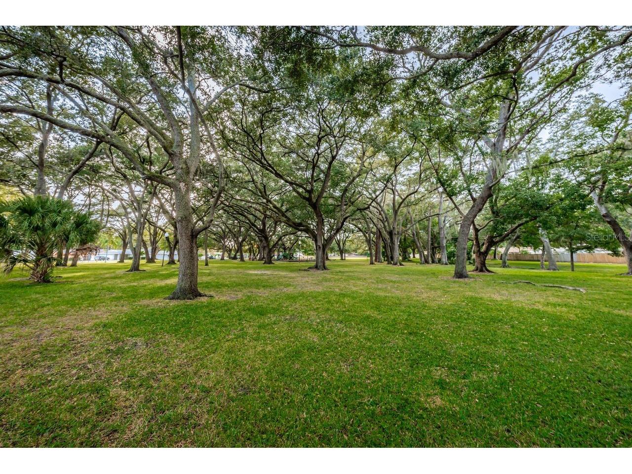1614 Dale Circle N Dunedin FL 34698 TB8526259 image49