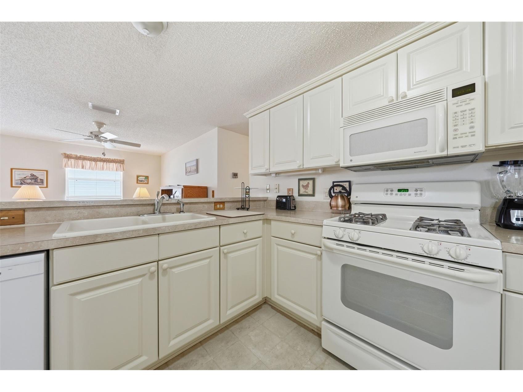 1614 Gibbes Way The Villages FL 32162 G5114630 image14