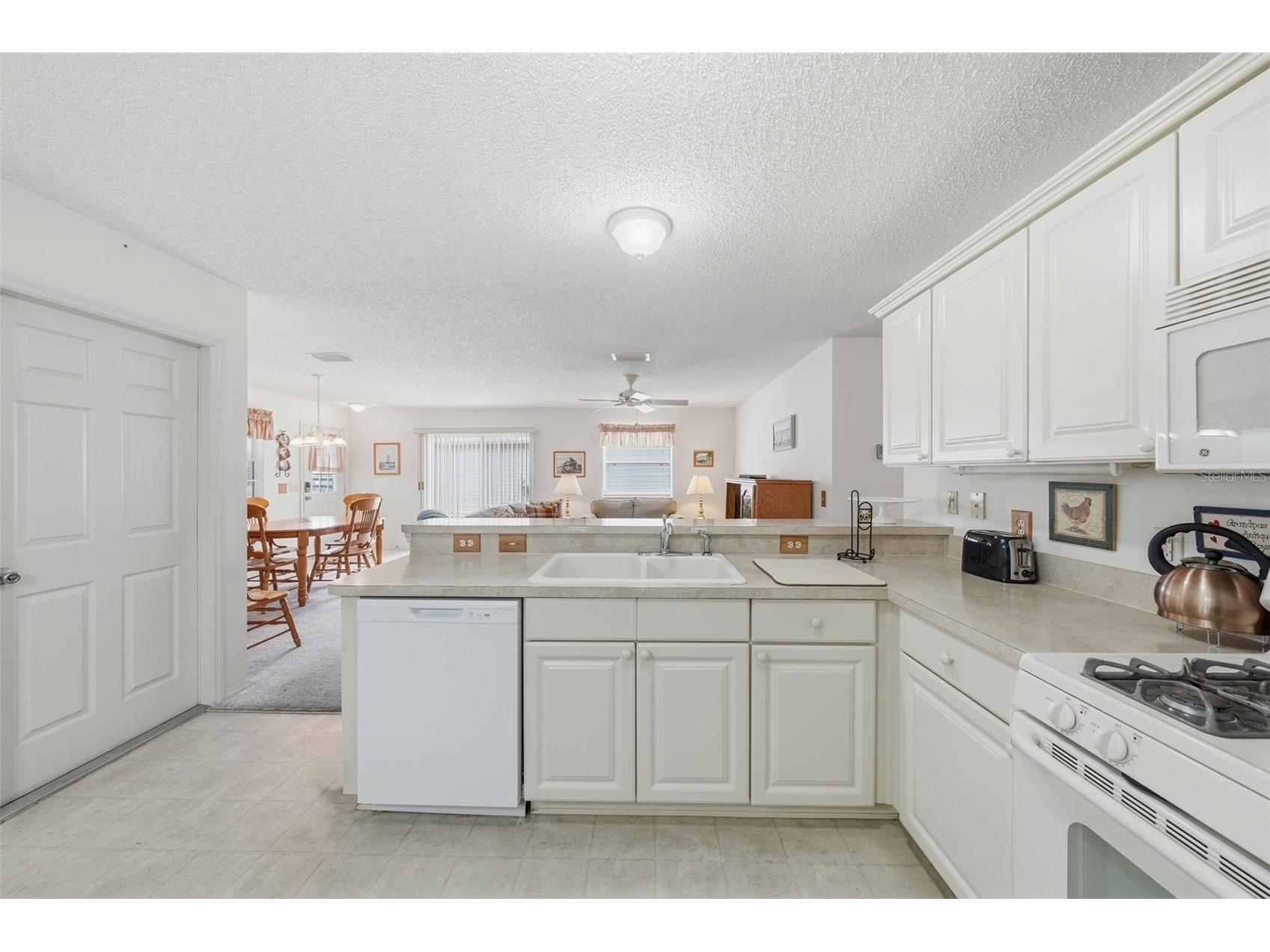 1614 Gibbes Way The Villages FL 32162 G5114630 image16