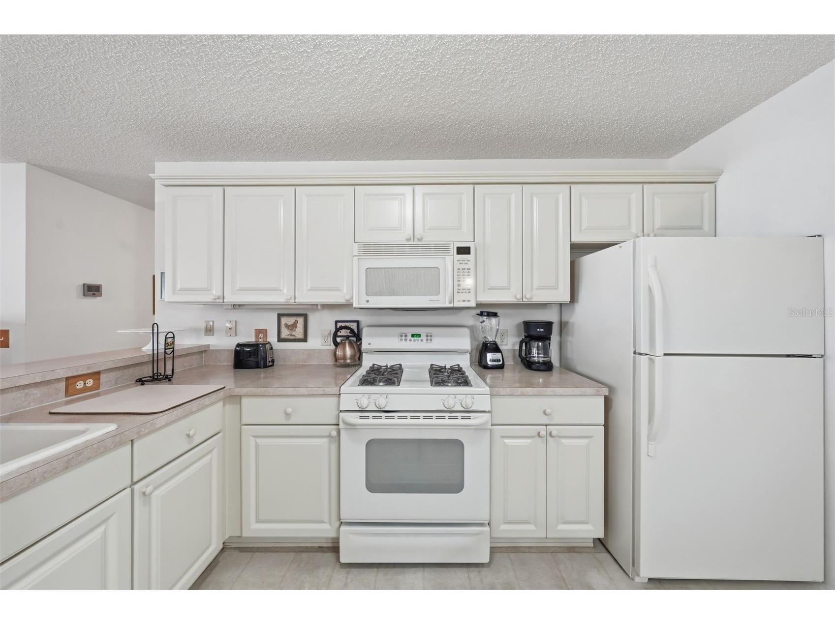 1614 Gibbes Way The Villages FL 32162 G5114630 image17