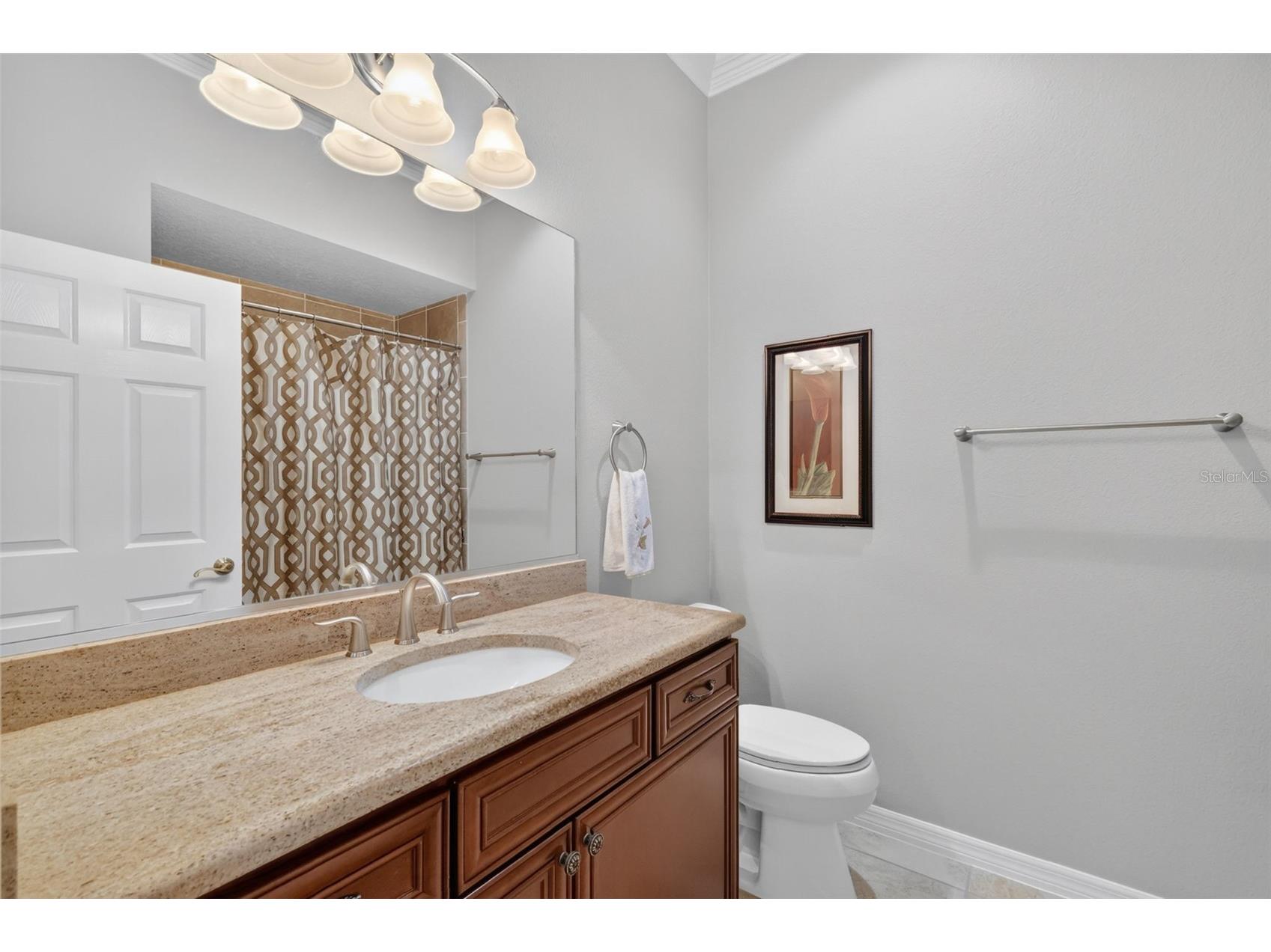 1614 Pennecamp Drive The Villages FL 32162 FC319177 image46