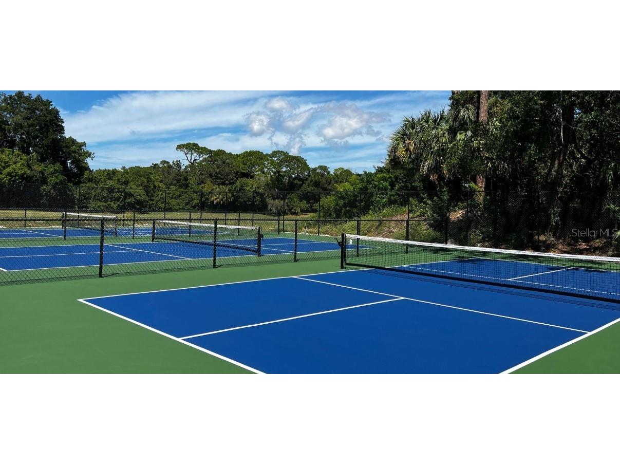 1614 Sandhill Court Palm Harbor FL 34684 A4675200 image18