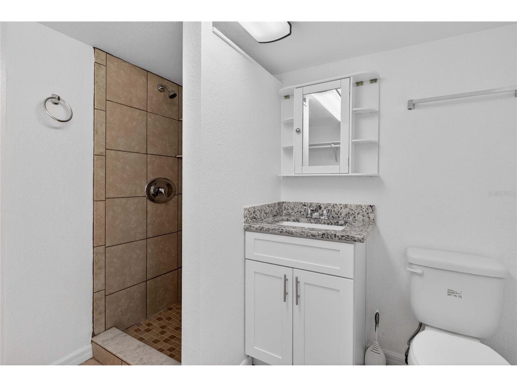 16141 3rd Street Umatilla FL 32784 O6412470 image17