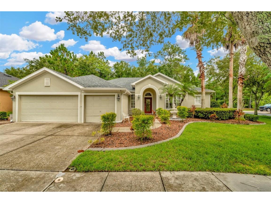 16141 Colchester Palms Drive Tampa FL 33647 T3543008 image1