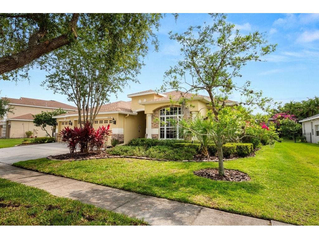 16142 Bridgepark Drive Lithia FL 33547 T3487674 image1