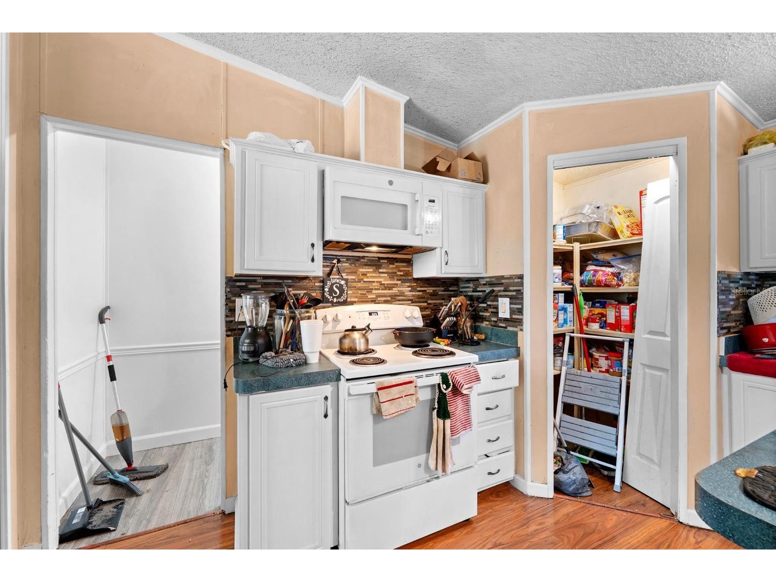 16143 Palacky Street Brooksville FL 34604 TB8515181 image10