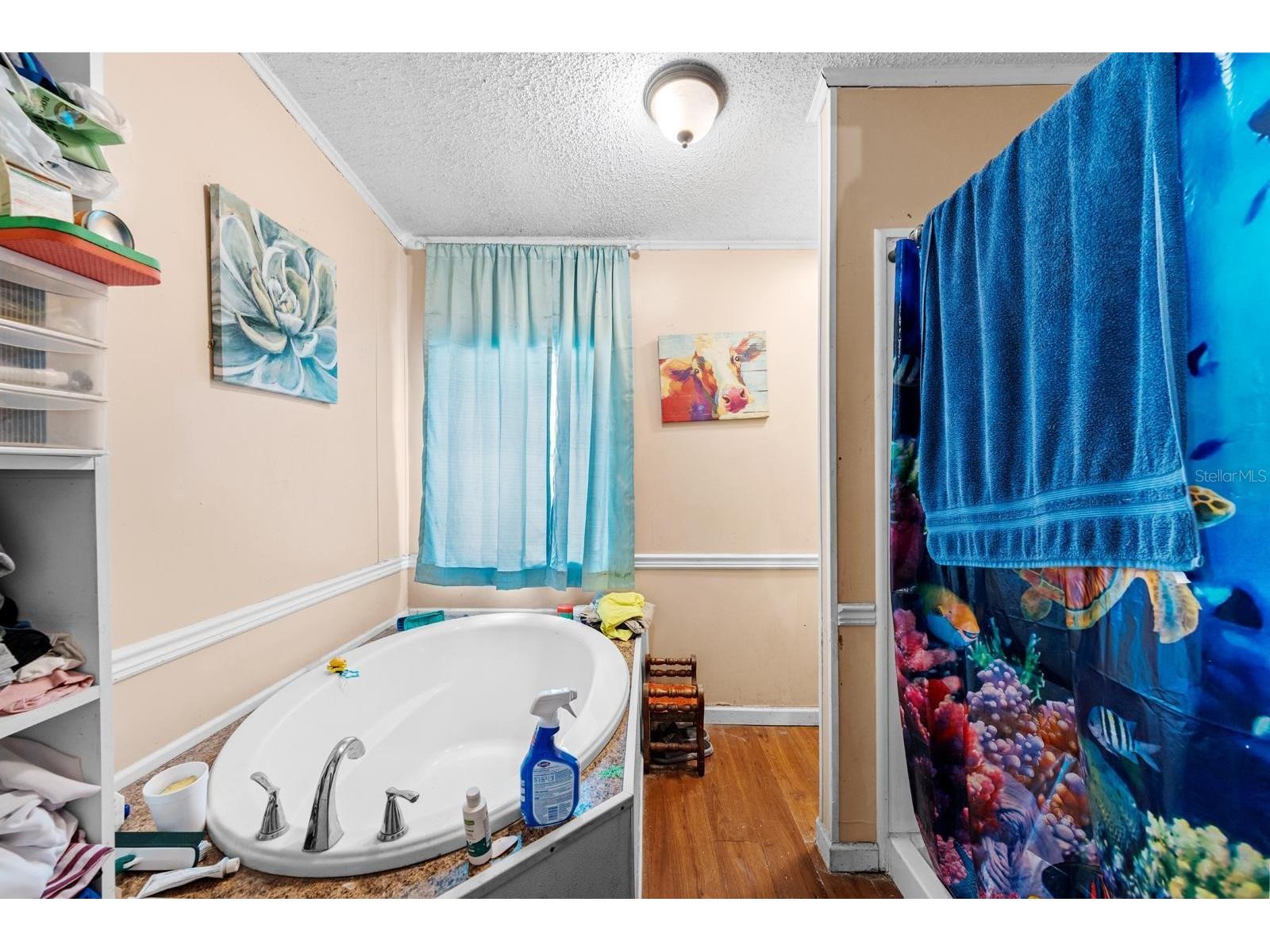 16143 Palacky Street Brooksville FL 34604 TB8515181 image17
