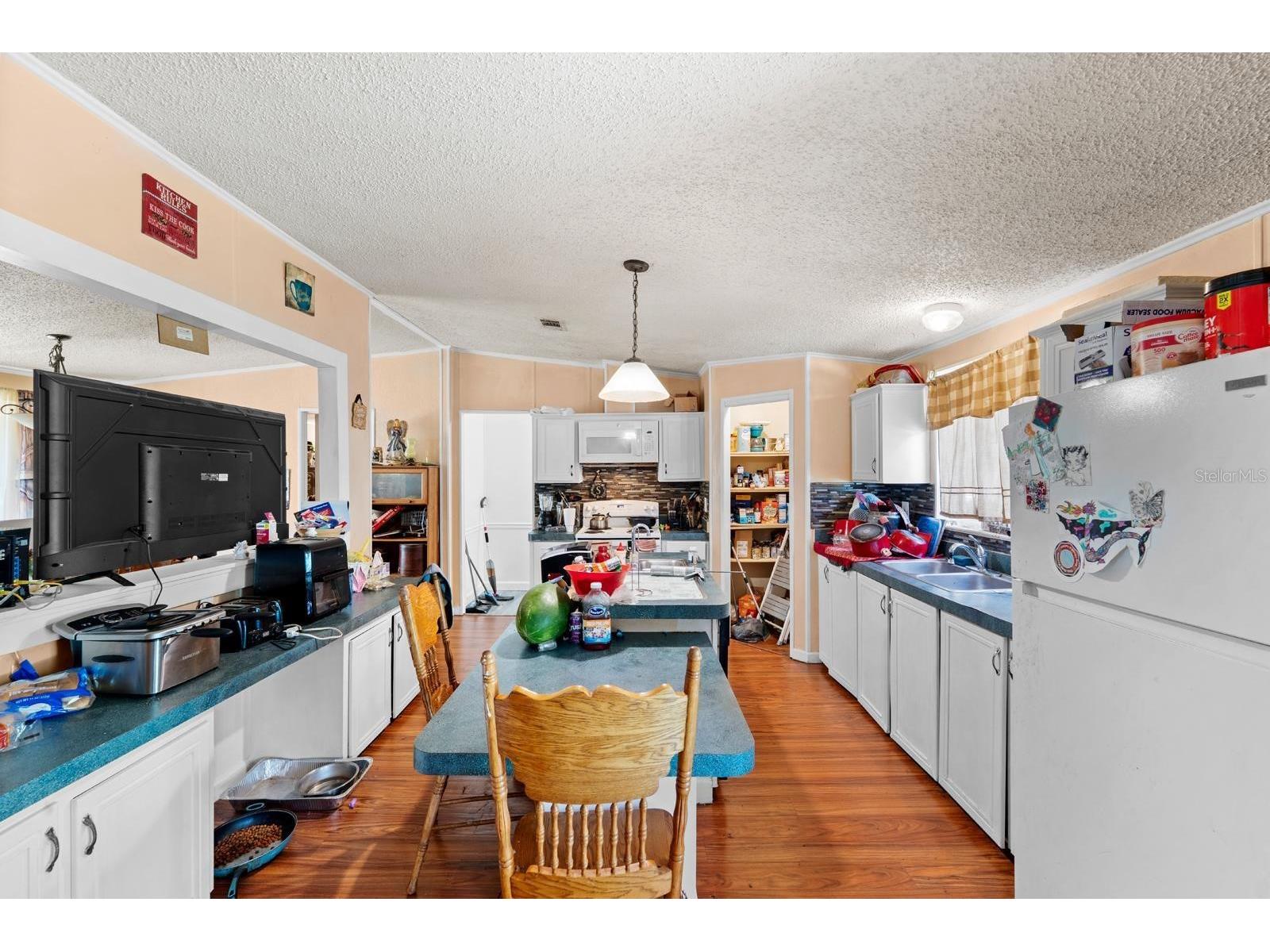 16143 Palacky Street Brooksville FL 34604 TB8515181 image6